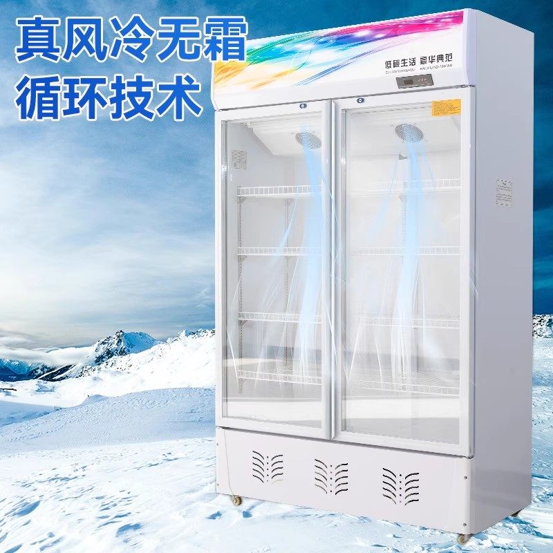 Smart Ice Beverage Display Cabinet Refrigerated Fresh-Keeping Freezer Large Capacity Double-Door Supermarket Vertical Single-Door Beer Freezer