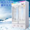 Smart Ice Beverage Display Cabinet Refrigerated Fresh-Keeping Freezer Large Capacity Double-Door Supermarket Vertical Single-Door Beer Freezer