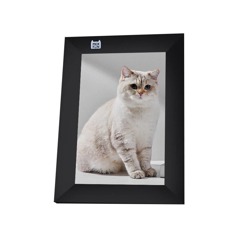 Pickfun P1 P0 Digital Photo Frame 8inch Simultaneously Plays Short Video and Pictures