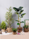 Trendy Straw Woven Basket with Green Plants, Large Rattan Hand-Woven Flower Basket, Light Luxury Decorative Set, Living Room Floor-Standing Flower Pot Ornament