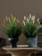 Artificial Green Plants, Dog Tail Grass, Reed Clusters, Indoor Window Decorations, Fake Plants, Floor-Standing Landscape, Potted Plant Decoration