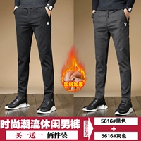 5616 Black Plus Velvet +5616 Grey Plus Velvet