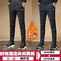 5616 Black Plus Velvet+5616 Blue Plus Velvet