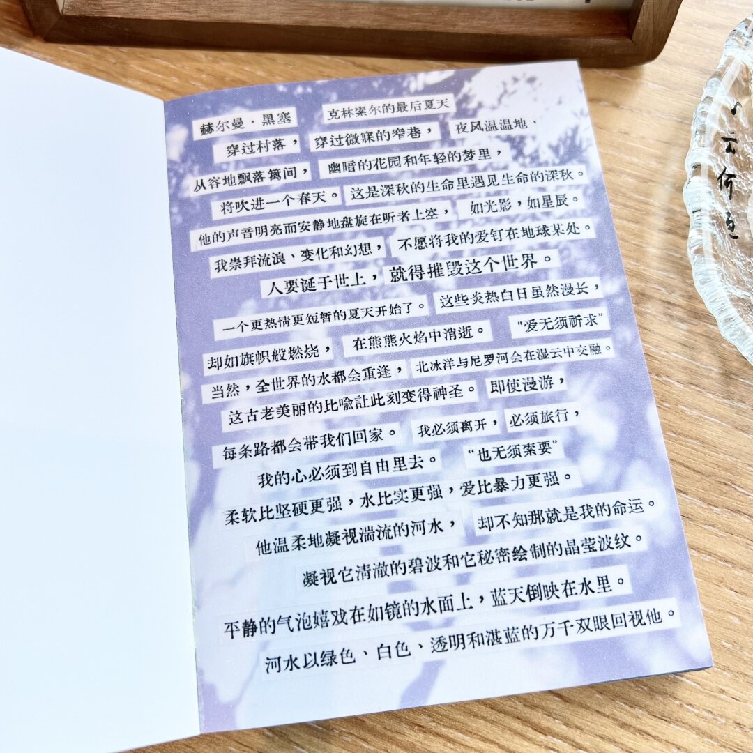 И бумажная лента 文学自救指南贴纸书复古文艺手账切膜贴纸素材拼贴装饰字素贴纸书