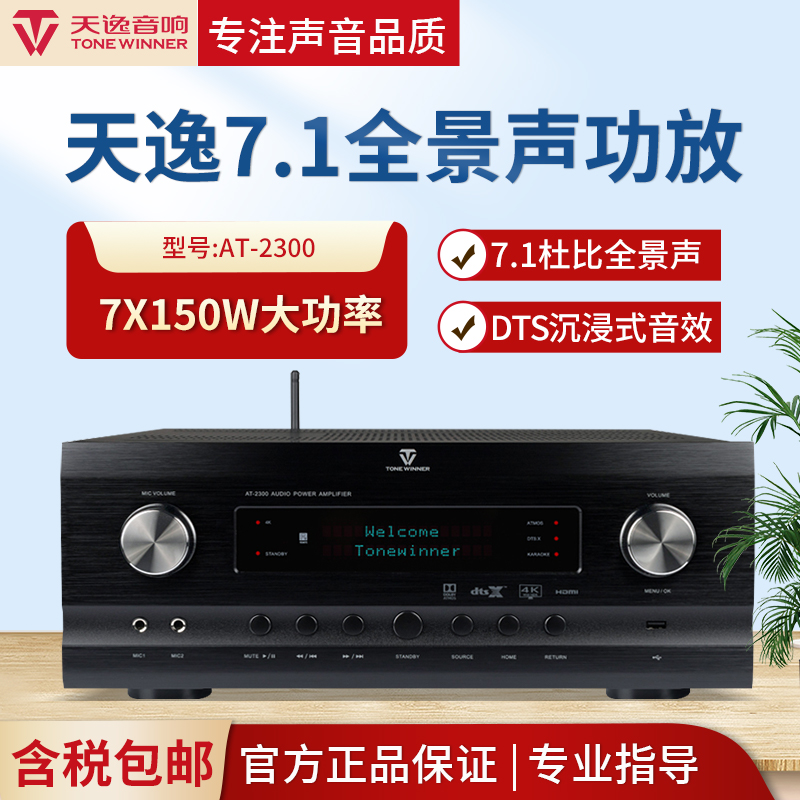 Winner Tianyi AT-2300 5 1 2 panoramic sound home theater power amplifier professional high-power video K one