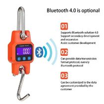 WeiHeng C06 Portable Electronic Hook Scale Charging Bluetooth