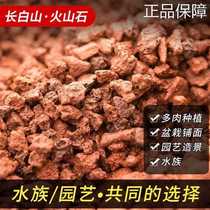 High-end Xinjiang volcanic stone particles orchid succulent particle soil potted special aquarium volcanic rock mixed soil camp
