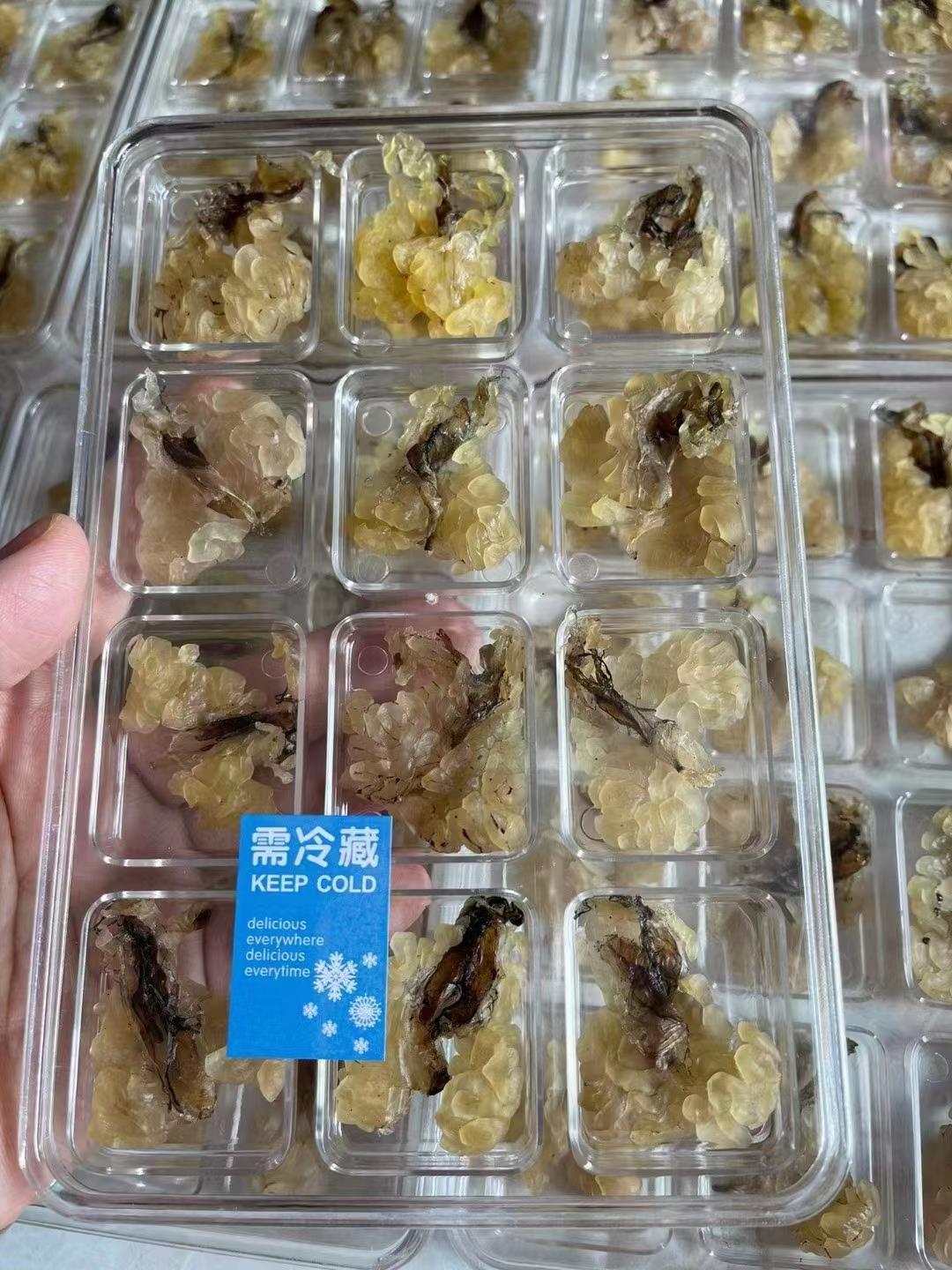 Snow clams long white Mountain Snow clam oil clams oil Northeast forest frog oil Snow clams stew papaya toad oil 10 gr-Taobao