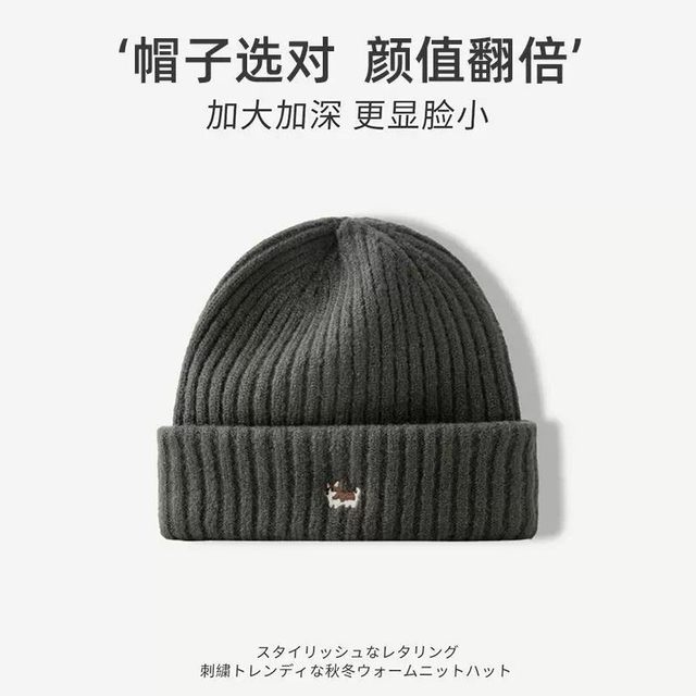 Blue Salt-Style Cute Puppy Embroidered Knitted Wool Hat, New Autumn and Winter Model for Women, Makes the Face Look Smaller, Versatile Beanie for Large Head Circumference