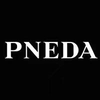 PNEDA男装服饰