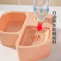 Cat bowl 2-in-1 Pipitao original environmentally friendly ABS Dodo pet bowl multi-functional corner bowl cat bowl