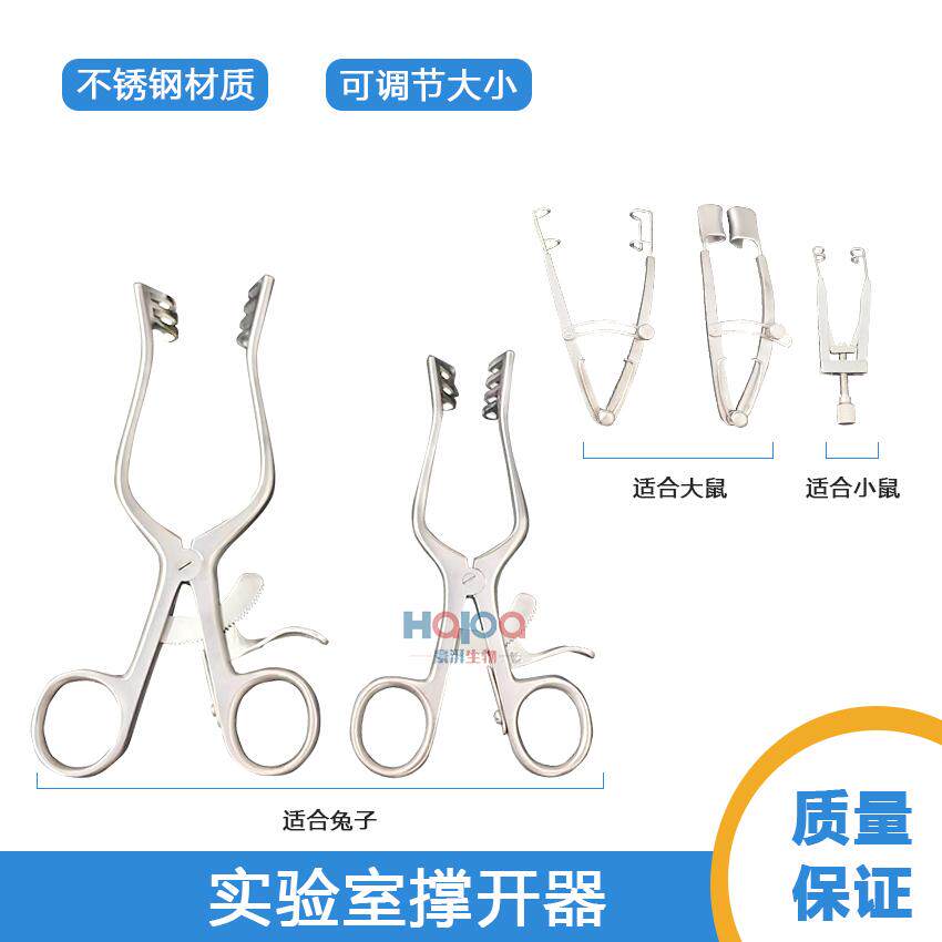 小鼠开胸器 大鼠扩胸器撑开器 小动物牵引器 大小鼠兔子实验用