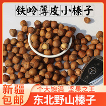 Xinjiang Yepair Northeast small hazelnuts Tieling Zhipishan hazelnuts flat hazelnuts buy 1 catty and get 1 catty free