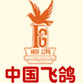 飞鸽自行车网销壹号店的LOGO