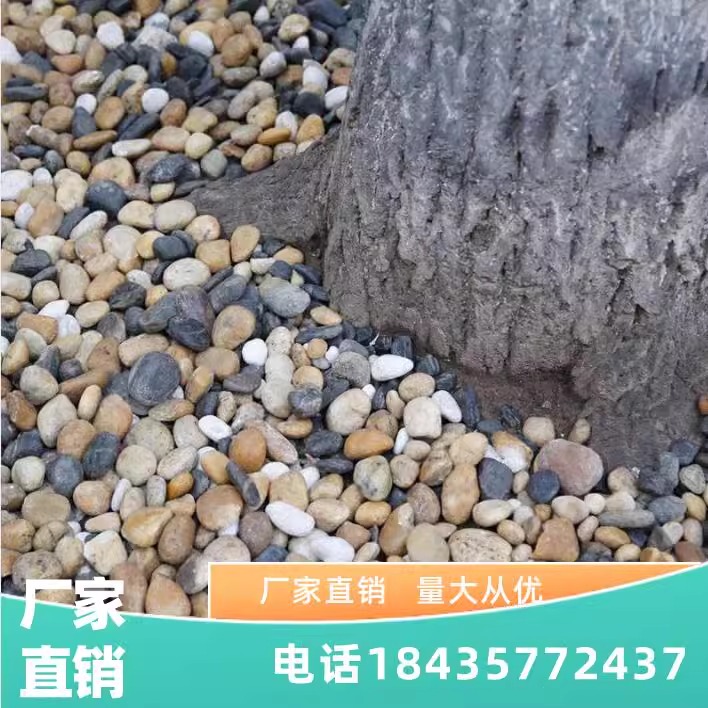 Sichuan Natural Pebbles, Swamp Filter Stones, Special Gravel for Floor Heating Leveling and Backfilling, Washed Gravel Filter Material for Water Treatment Sichuan Natural Pebbles, Swamp Filter Stones, Special Gravel for Floor Heating Leveling and Backfilling, Washed Gravel Filter Material for Water Treatment