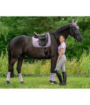 Felix Bühler Swiss harness show jumping saddle pads horse earmuffs leggings and leggings bridle