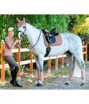 Felix Bühler Swiss harness dance saddle pads horse earmuffs leggings and leggings