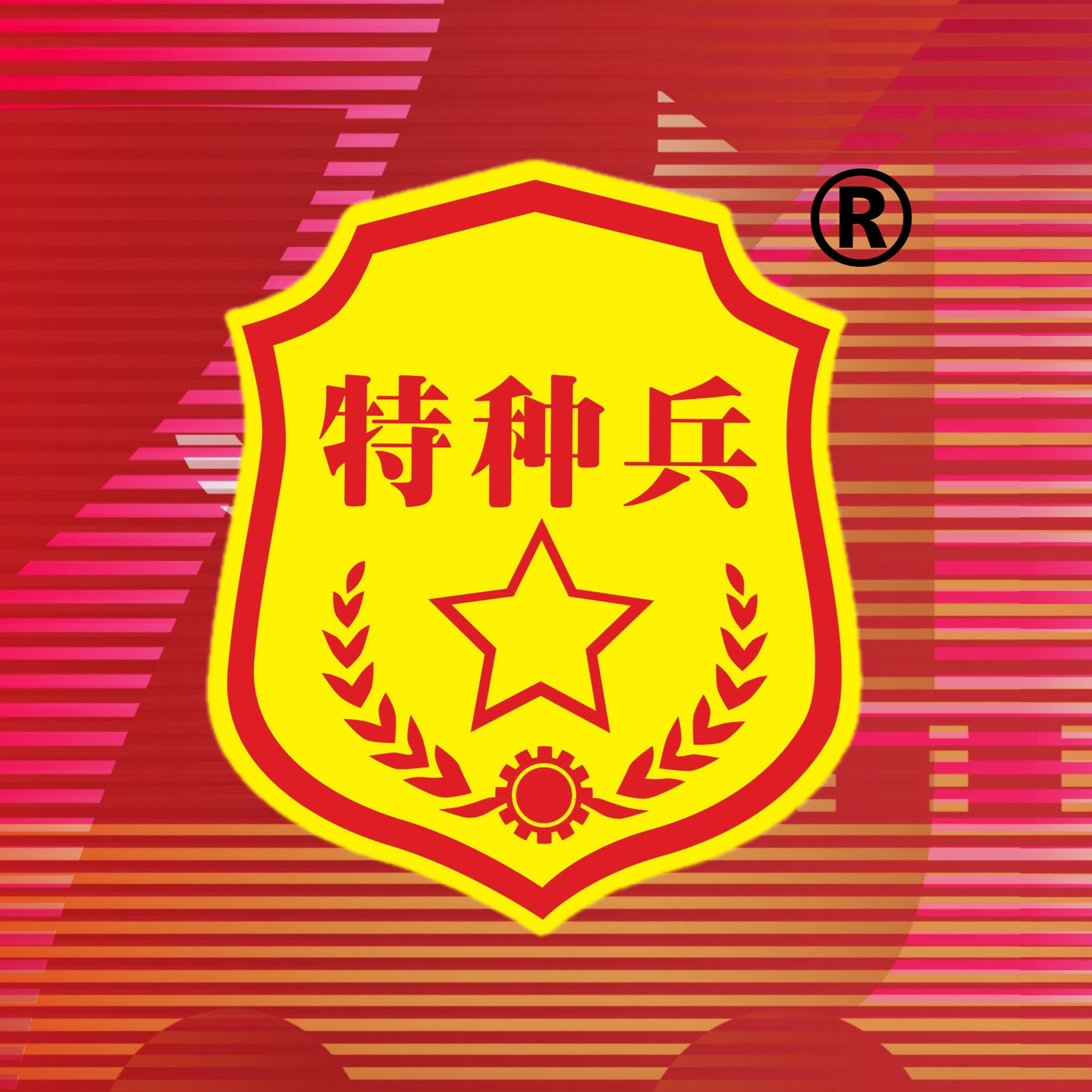 特种兵90压缩干粮的LOGO