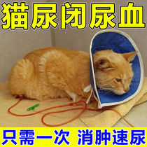 Diuretic cat urine retention medicine hematuria frequent urination oliguria recovery of urinary tract infection urinary system health care after sterilization