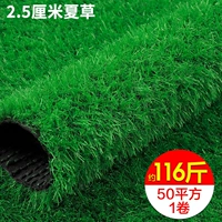 Утолщенная летняя трава толщиной 2,5 см составляет около 2,32 кг на квадратный метр, цена за квадратный метр.