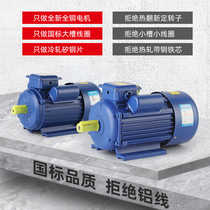 3 1 5 751 phase 2200 motor 4K all copper 1 single V motor 2 two phase 2 small W asynchronous motor