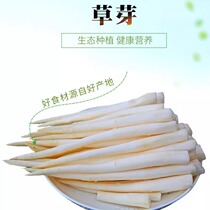 Yunnan specialties Jianshui grass buds ivory vegetables twelve spicy recommended specialties fresh vegetables and agricultural products direct sales