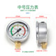 Agricultural Three-Cylinder Plunger Pump Sprayer Pressure Gauge Oil-Immersed Type 21/22/26/30/60/80/120 Accessories