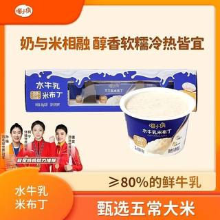 Рисовый пудинг meowboy с молоком буйвола без сахарозы и детский завтрак, чтобы дать рецепт добавки к детскому питанию