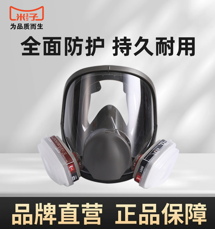 6800 Anti-gas mask Full cover Spray Paint Special Dust Formaldehyde Ammonia Gas Chemical Pesticide Paint 3 Protective Mask M-Taobao