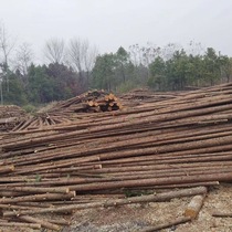 Fir wood piles river slope protection wooden piles flood control piling fence landscaping tree support poles fence customization