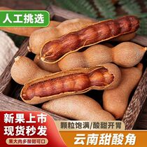 Tamarind Yunnan specialty sweet tamarind fresh sweet tamarind sour beans snacks for pregnant women jujube cake sweet and sour fruit