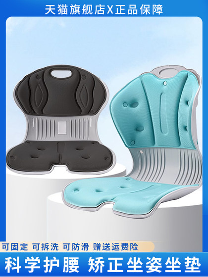 Waist-Protecting Seat Cushion for Long Sitting, Petal-Shaped Seat Cushion with Integrated Backrest, Nursing Aid, Seat Cushion for Adults