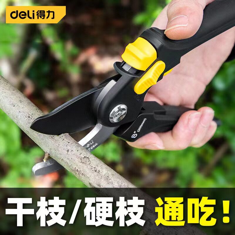 得力园艺剪刀园林修枝剪果树剪枝树枝省力强力大修剪修花剪子神器