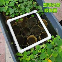 Duckweed isolation circle fish food feeding circle small turtle feeding circle fish food feeding circle aquarium floating circle