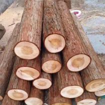 Support piles fir piles pine piles river slope protection piles flood control cofferdam piles cedar greening poles