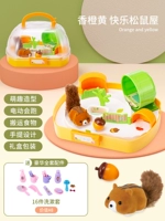 Дом развития белки [Оранжевая батарея ❤ Подарок 16 штук+батарея]