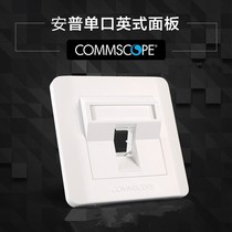 AMP Angpu style British oblique mouth double port single hole panel 86 type information network wall module panel