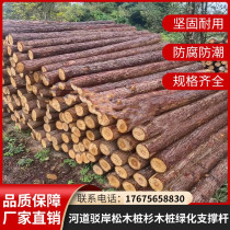 Fir log piling wood river berm wooden pile bank protection pine log pile landscaping branch tree pole fir pile