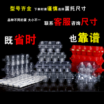 The plastic egg box plastic egg holding pigeon duck egg quail egg packaging box transparent 10 goose eggs