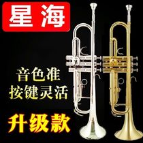 Star Heisei trumpet instrument XT-120 descent B tuning small number of beginner professional playing student version pipe musical instrument Grand total