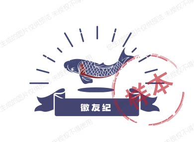 徽友纪臭鳜鱼