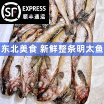 Yanbian fresh pollack whole frozen sea fish new arrival pollock fish stick fish baby food supplement barbecue ingredients stick fish