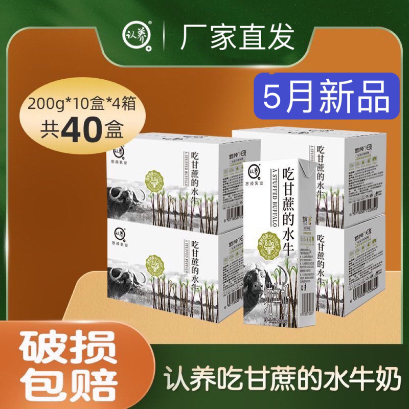【New Product Value Pack】May-Produced Adopted Buffalo Pure Milk for Students, Nutritious Breakfast Milk, 10 Boxes, 4 Cartons