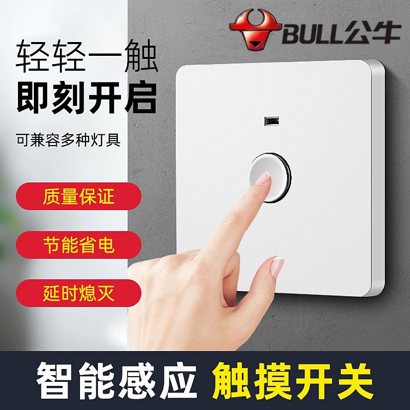 Bull 86 Type Concealed Second-line Stairway Touch Time-lapse Switch Corridor Cell Property Touch Sensing Time-lapse Panel-Taobao