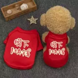 Одежда для домашних животных, толстовка, собачья жилет, маленькая собака, весна, осень, зима, летний тонкий стиль, биби -медведь, плюшевые принадлежности, щенки, кошки,