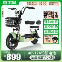 Bao Dao New National Standard Electric Car Mini-Adult Lady Electric Bike Can Be On Board The New Electric Bike Can Be New Electric Bottle