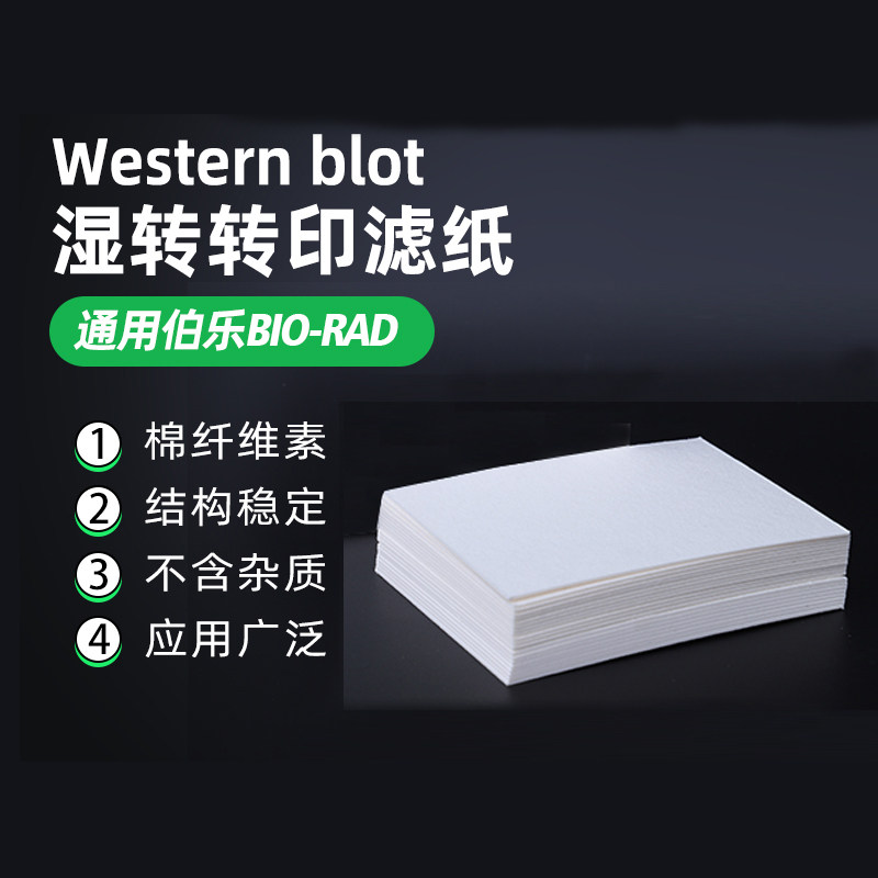 WB转印滤纸 转膜滤纸 伯乐bio-rad 电泳湿转 半干转印滤纸1703932