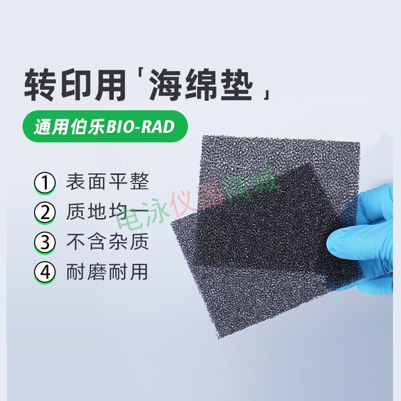 WB海绵  WB转膜海绵 Western blot湿转 电泳海绵 转印棉