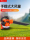 Xinghu Portable Gasoline Blower Greenhouse Snow Blower Leaf Blower Fire Fighting Wind Blower Dust Removal Machine