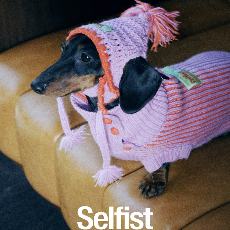 Selfist Dachshund Greyhound Schnauzer Bichon Frise German Wool Winter Knitted Warm Christmas Vest Sweater